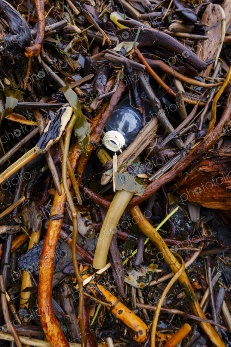 Plastic bottle on beach, Port Angeles