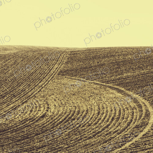 Ploughed earth furrows, patterns on the surface of the soil on farmland near Pullman,…