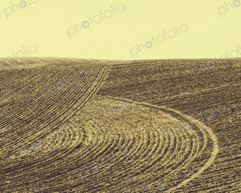 Ploughed earth furrows, patterns on the surface of the soil on farmland near Pullman,…