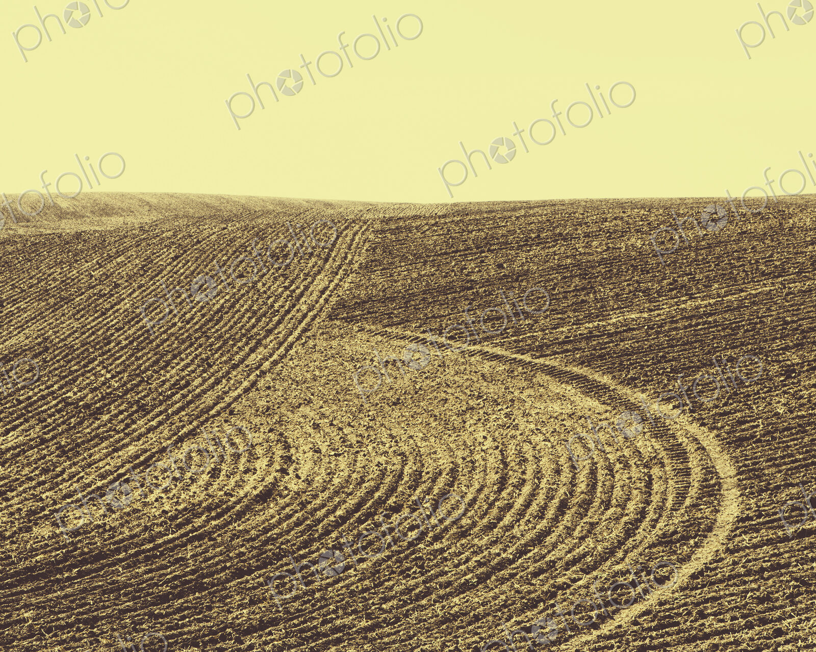 Ploughed earth furrows, patterns on the surface of the soil on farmland near Pullman,…