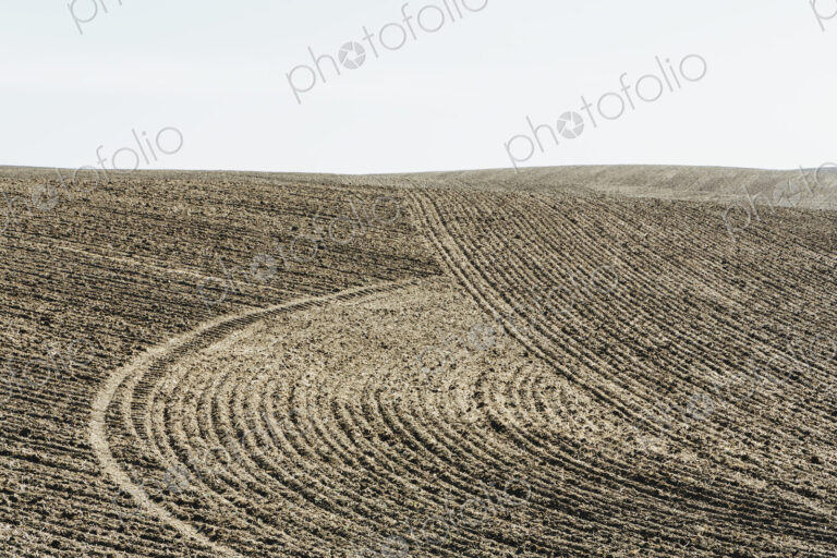 Ploughed earth furrows, patterns on the surface of the soil on farmland near Pullman,…
