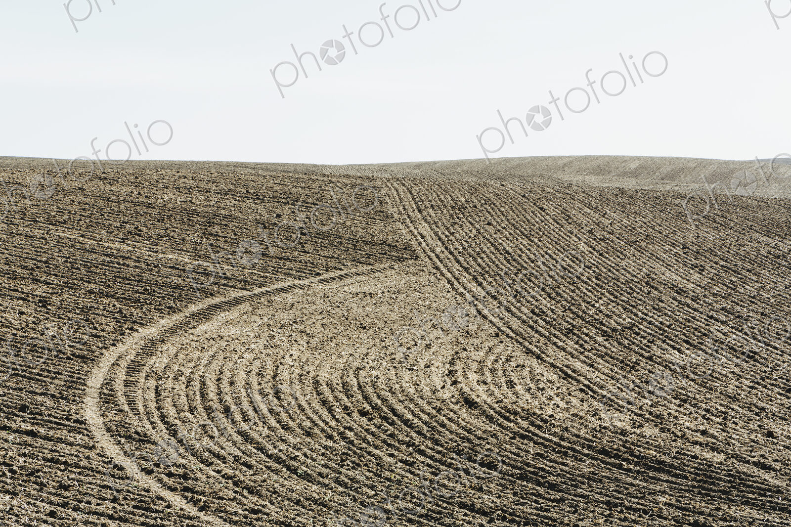 Ploughed earth furrows, patterns on the surface of the soil on farmland near Pullman,…