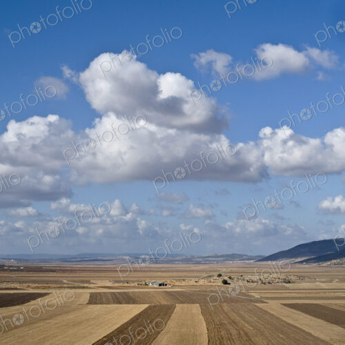 Plowed Agricultural Fields in the Beit Netofa Valley Plowed Agricultural Fields in the Beit Netofa Valley