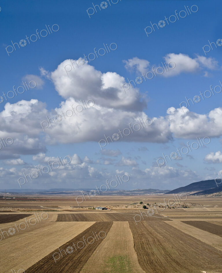 Plowed Agricultural Fields in the Beit Netofa Valley