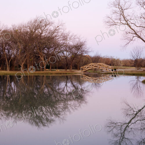 Pond with Trees and Foot Bridge Pond with Trees and Foot Bridge