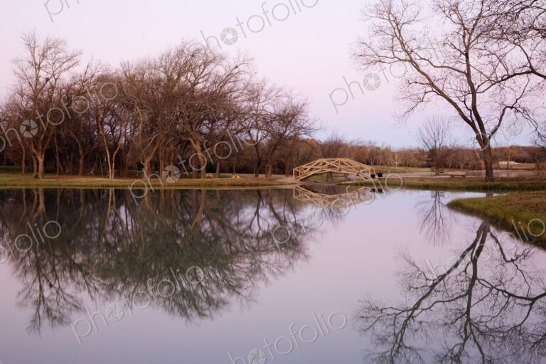Pond with Trees and Foot Bridge