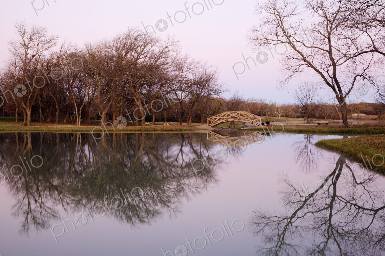 Pond with Trees and Foot Bridge