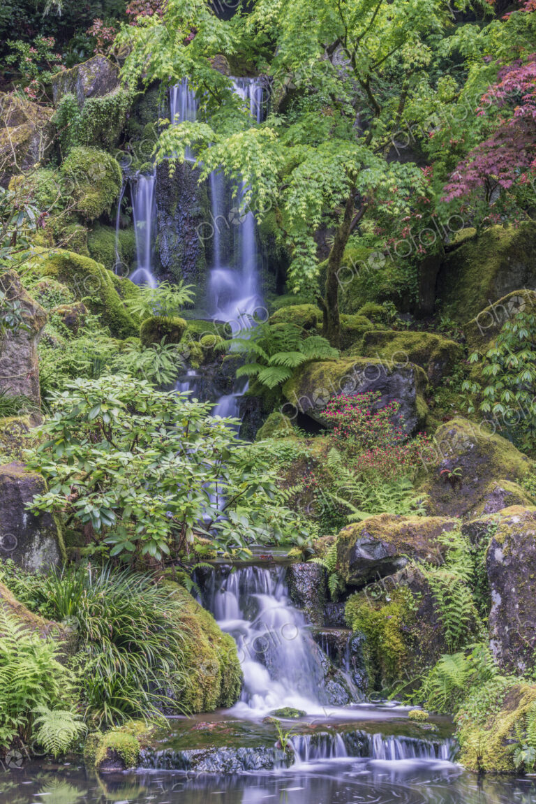 Porland Japanese Garden Waterfall, a cascade of water down a cliff, shrubs and plants.