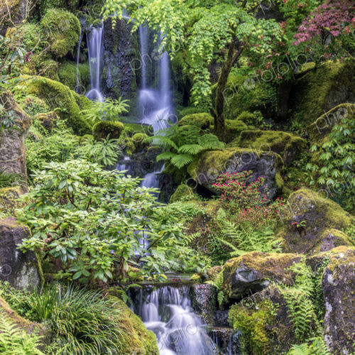 Portland Japanese Garden waterfall.
