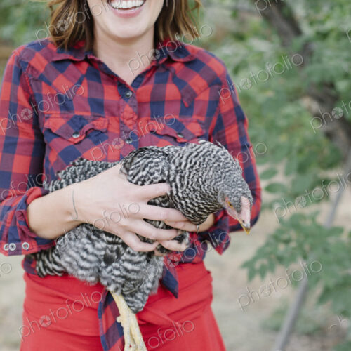 Portrait of a smiling woman holding a grey specked hen. Portrait of a smiling woman holding a grey specked hen.