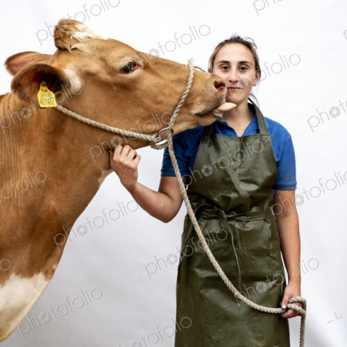 Portrait of female farmer wearing green apron with a Guernsey cow. Portrait of female farmer wearing green apron with a Guernsey cow.