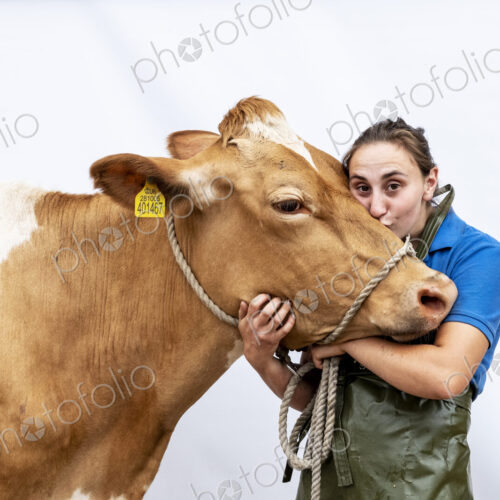 Portrait of female farmer wearing green apron with a Guernsey cow. Portrait of female farmer wearing green apron with a Guernsey cow.