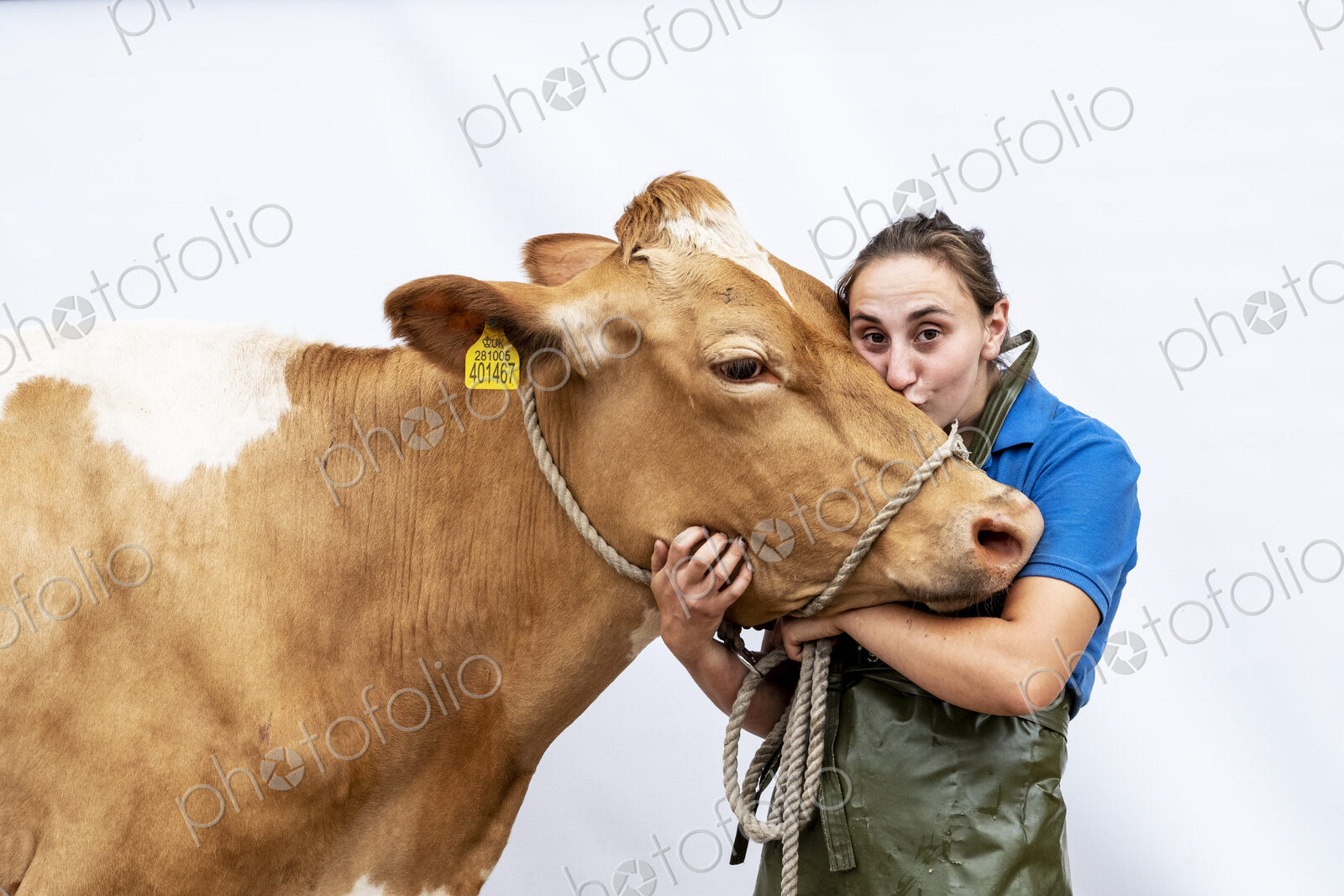 Portrait of female farmer wearing green apron with a Guernsey cow.
