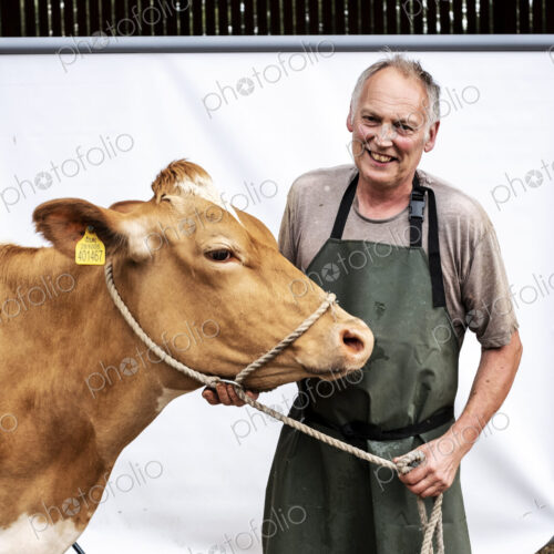 Portrait of male farmer wearing green apron smiling at camera with a Guernsey cow. Portrait of male farmer wearing green apron smiling at camera with a Guernsey cow.