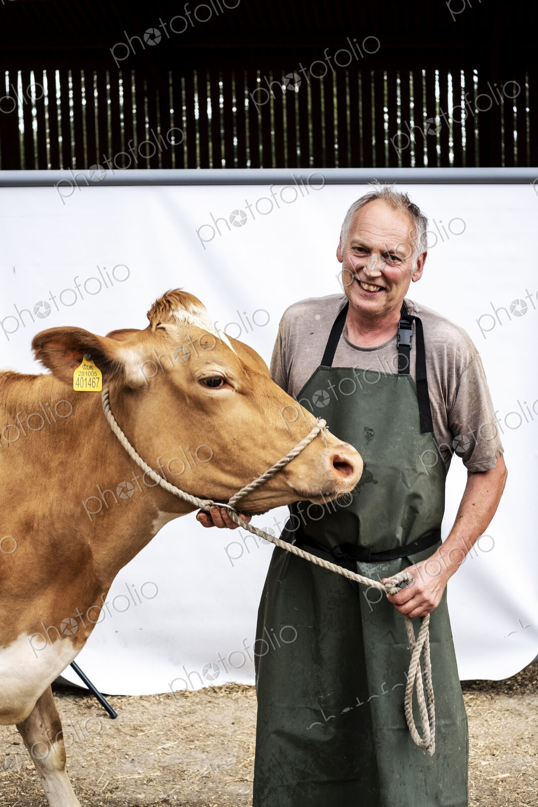 Portrait of male farmer wearing green apron smiling at camera with a Guernsey cow.