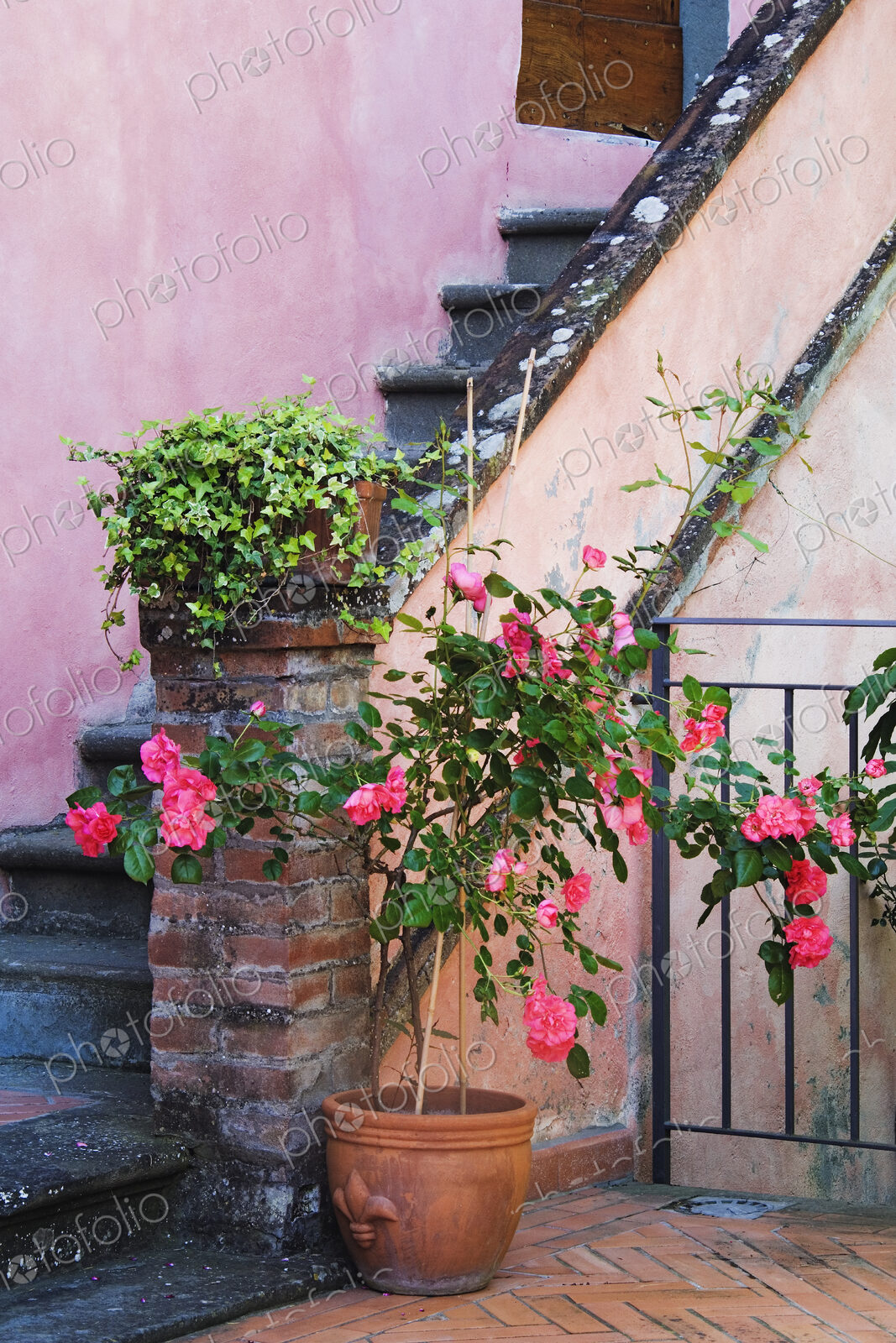 Potted Plant at Base of Stairs