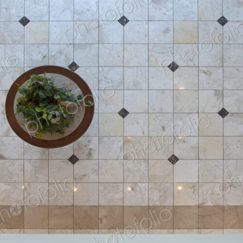 Potted Plant in Foyer Floor from Above
