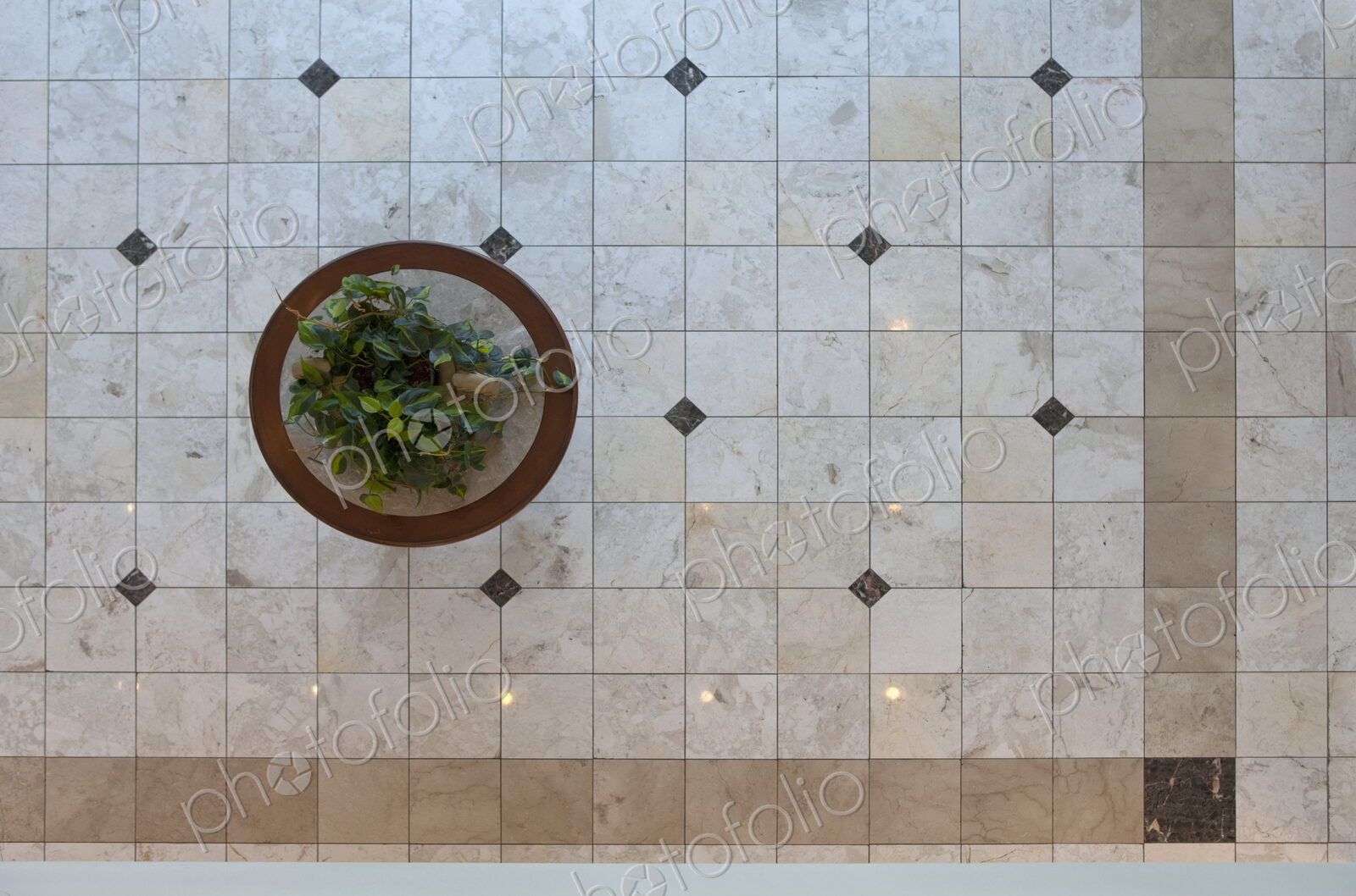 Potted Plant in Foyer Floor from Above