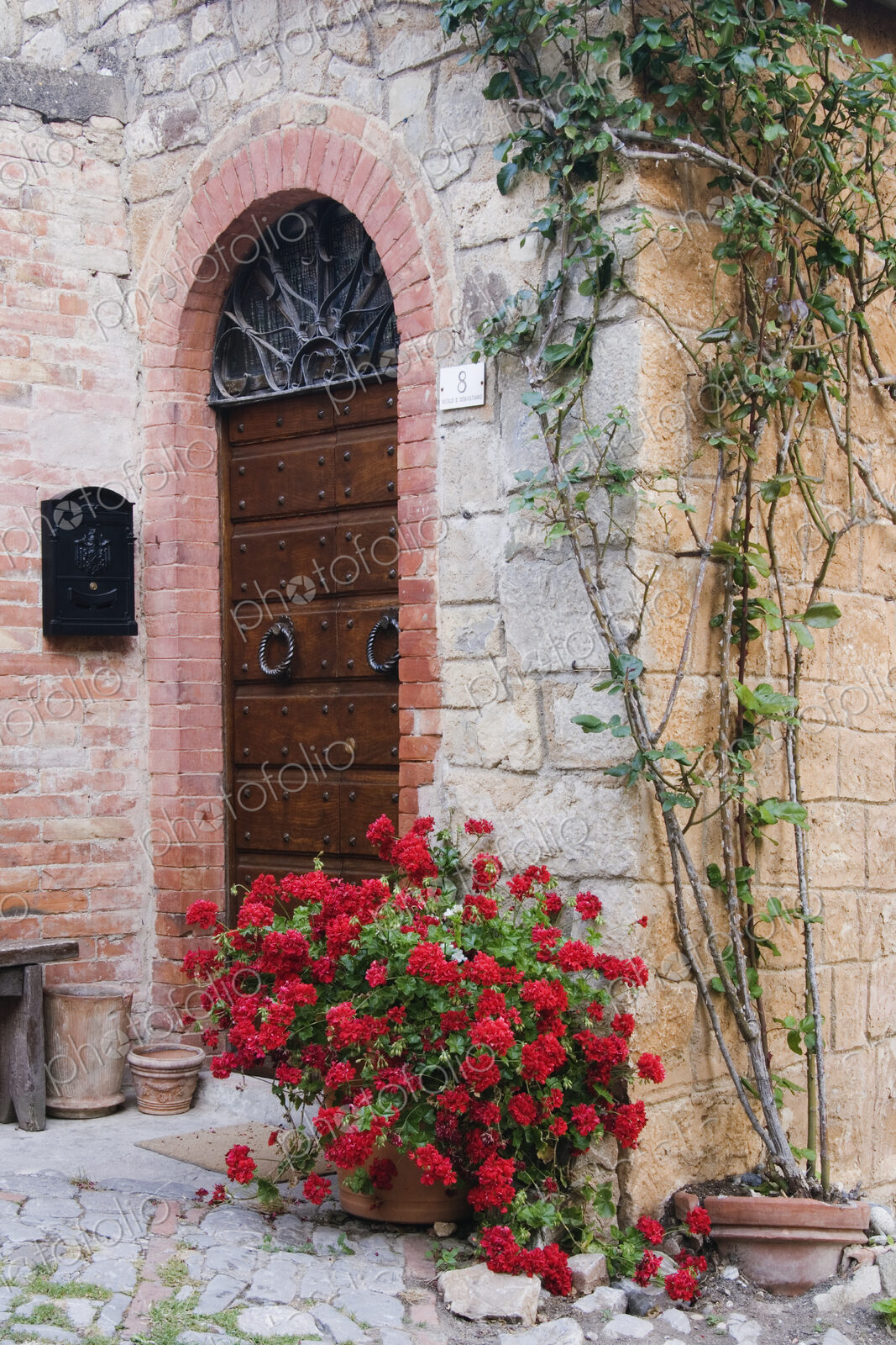 Potted Plant in Front of Arched Doorway