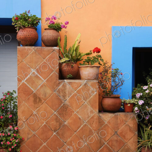Potted Plants Against Colorful Wall Potted Plants Against Colorful Wall