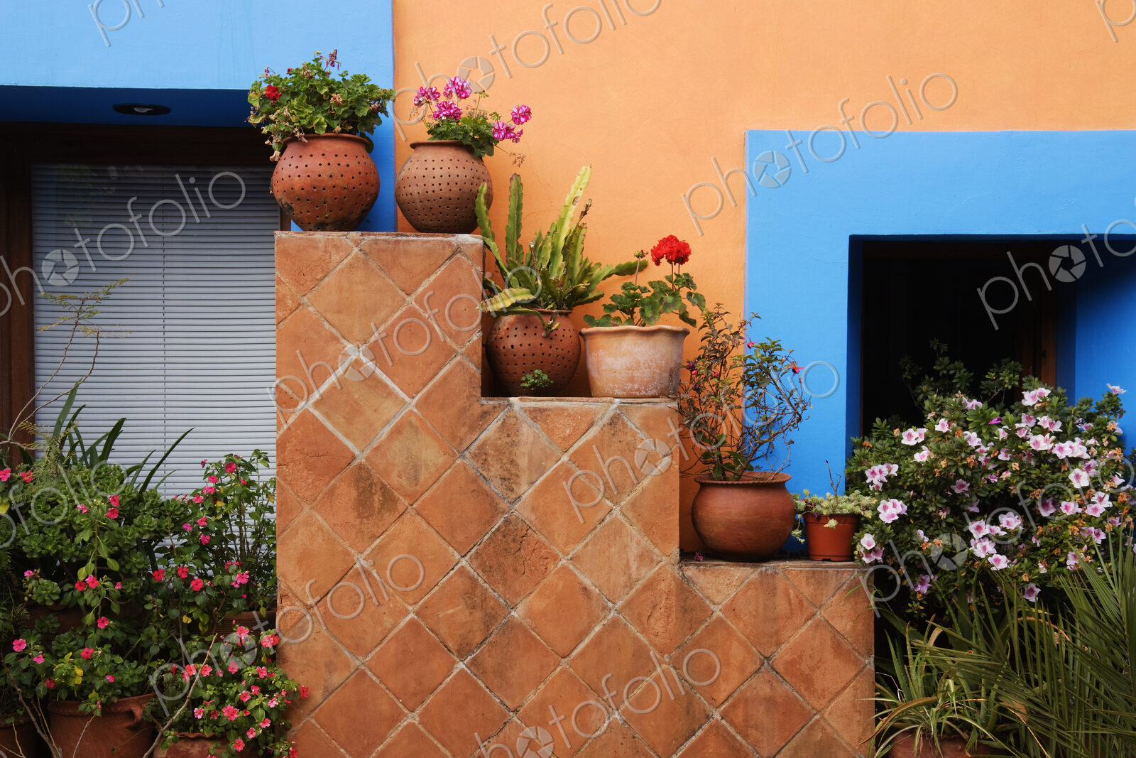 Potted Plants Against Colorful Wall