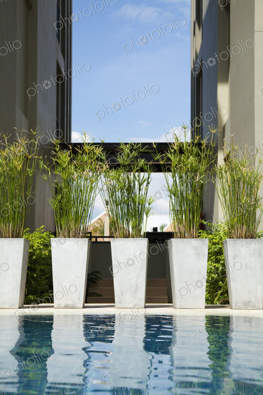 Potted Plants by Swimming Pool