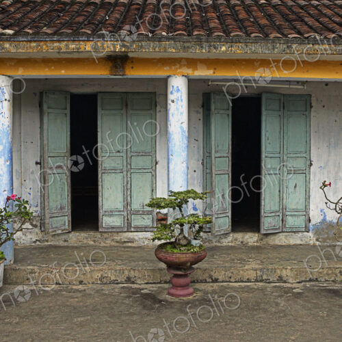 Potted Plants in Front of a Weathered Building Potted Plants in Front of a Weathered Building
