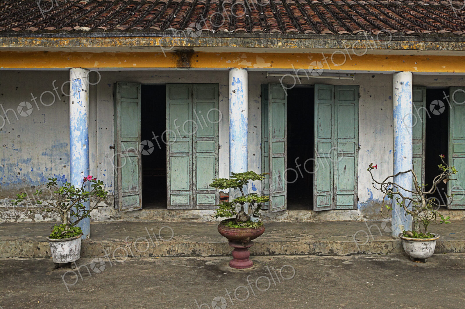 Potted Plants in Front of a Weathered Building
