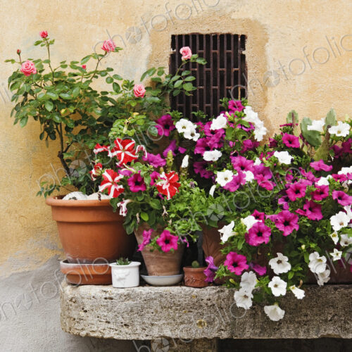 Potted Plants on Stone Bench Potted Plants on Stone Bench