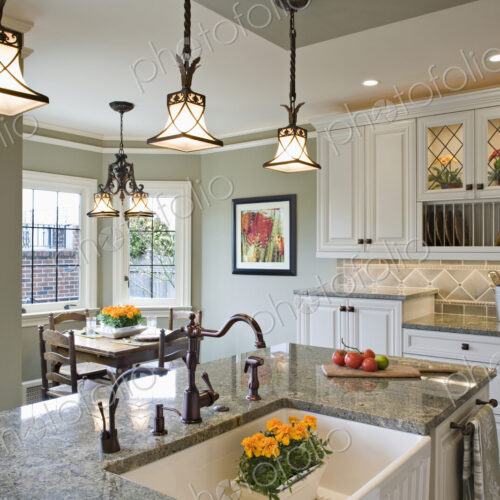 Potted plant in sink of luxury kitchen