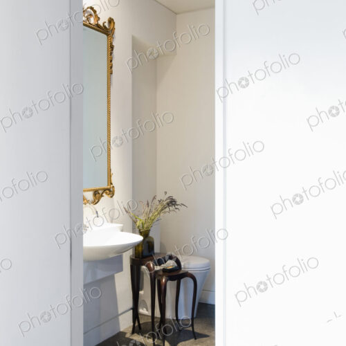 Powder room with toilet and hand basin and mirror. Powder room with toilet and hand basin and mirror.