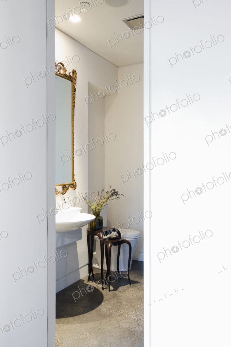 Powder room with toilet and hand basin and mirror.
