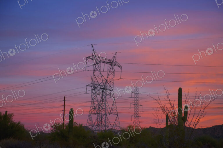 Power Lines in the Desert