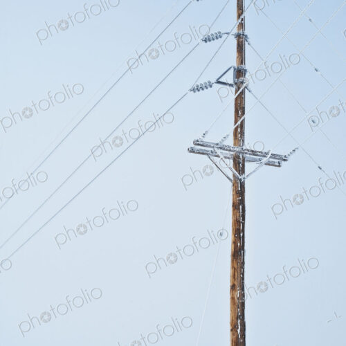 Power Pole Covered in Frost