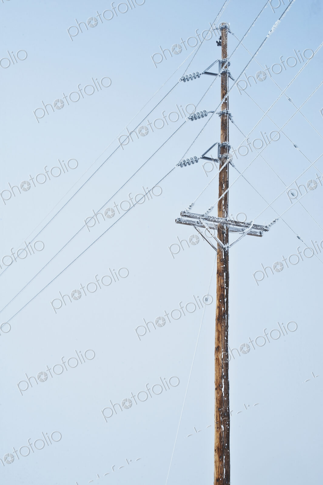 Power Pole Covered in Frost