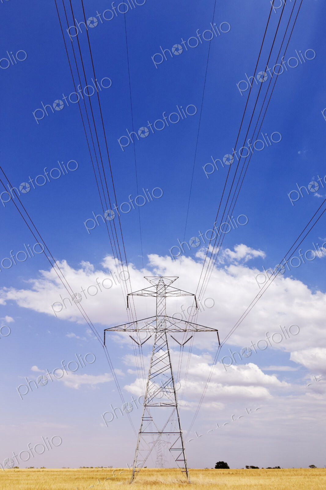 Power Pylon on the Plains