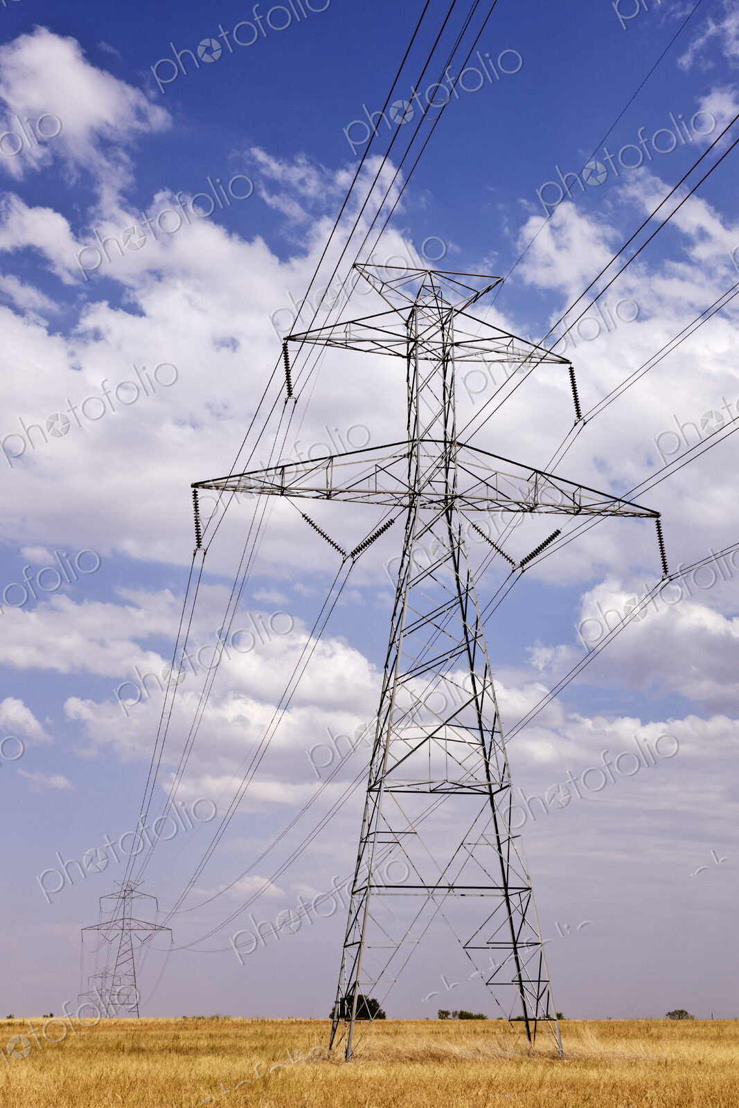 Power Pylon on the Plains