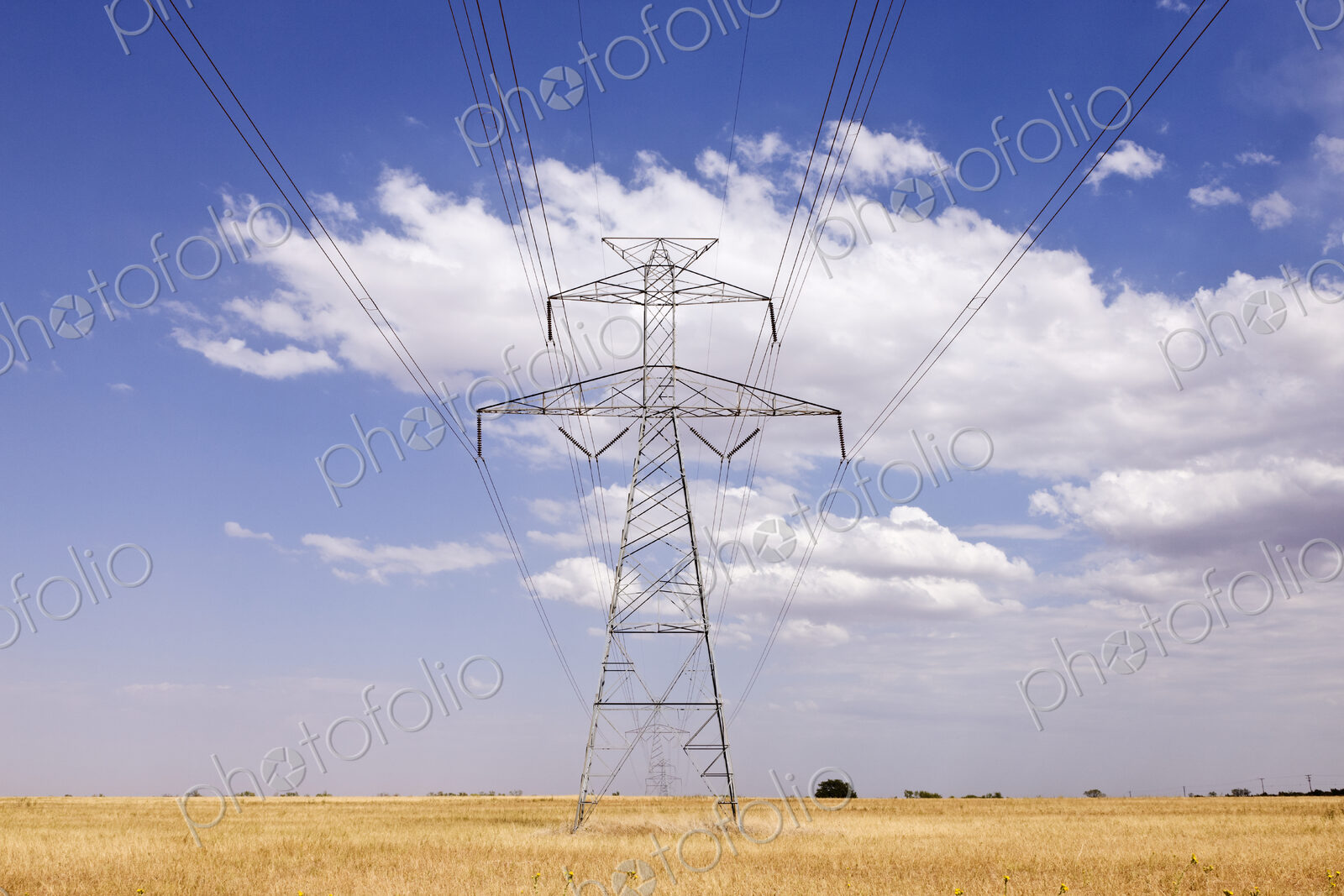 Power Pylon on the Plains