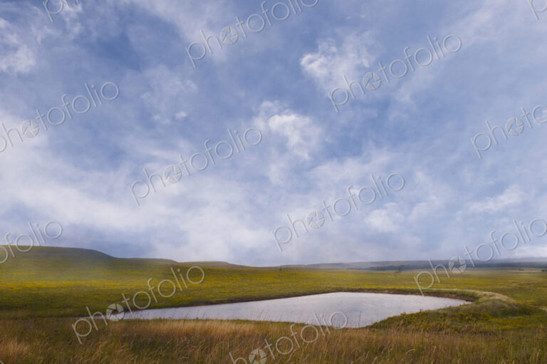 Prairie in summer, a lake and rolling landscape
