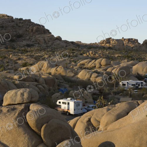 RVs camp at Joshua Tree National Park RVs camp at Joshua Tree National Park