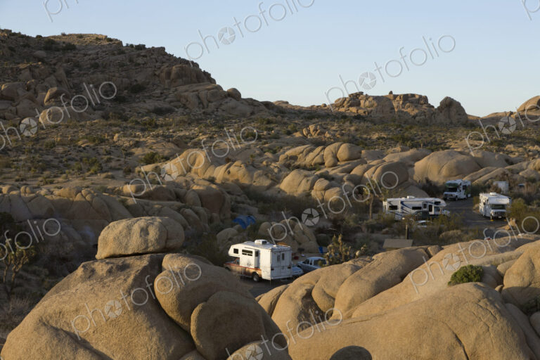 RVs camp at Joshua Tree National Park