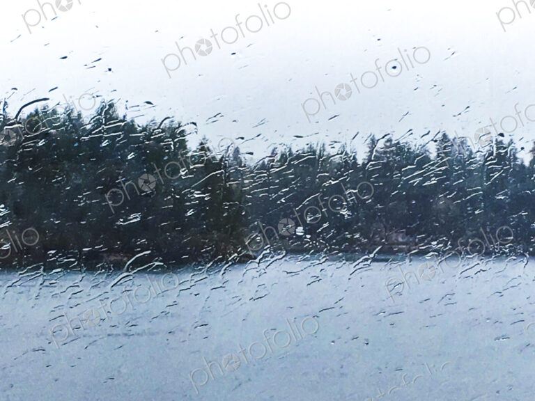 Rain droplets on the outside of a window, and view to woodland.