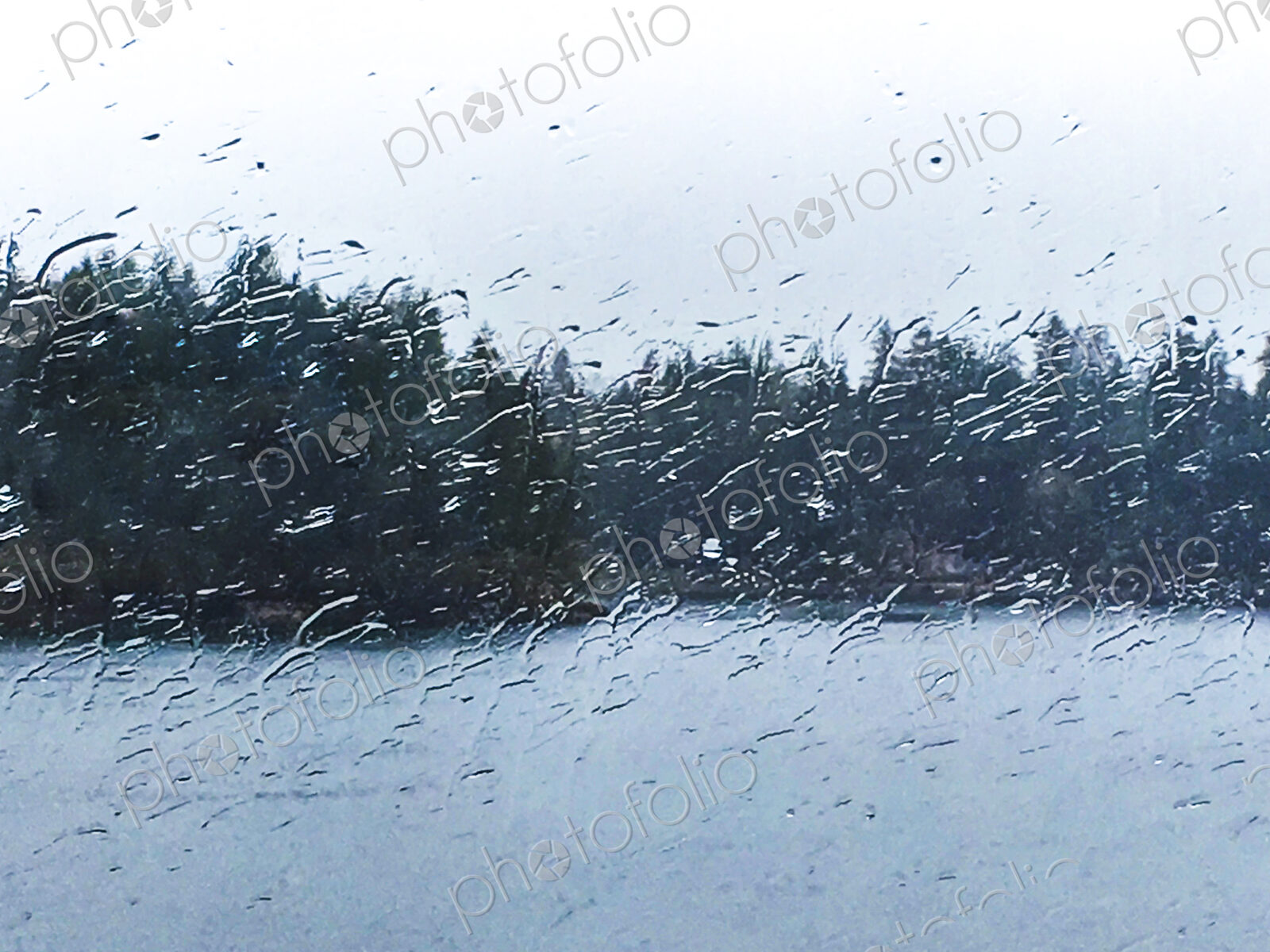 Rain droplets on the outside of a window, and view to woodland.