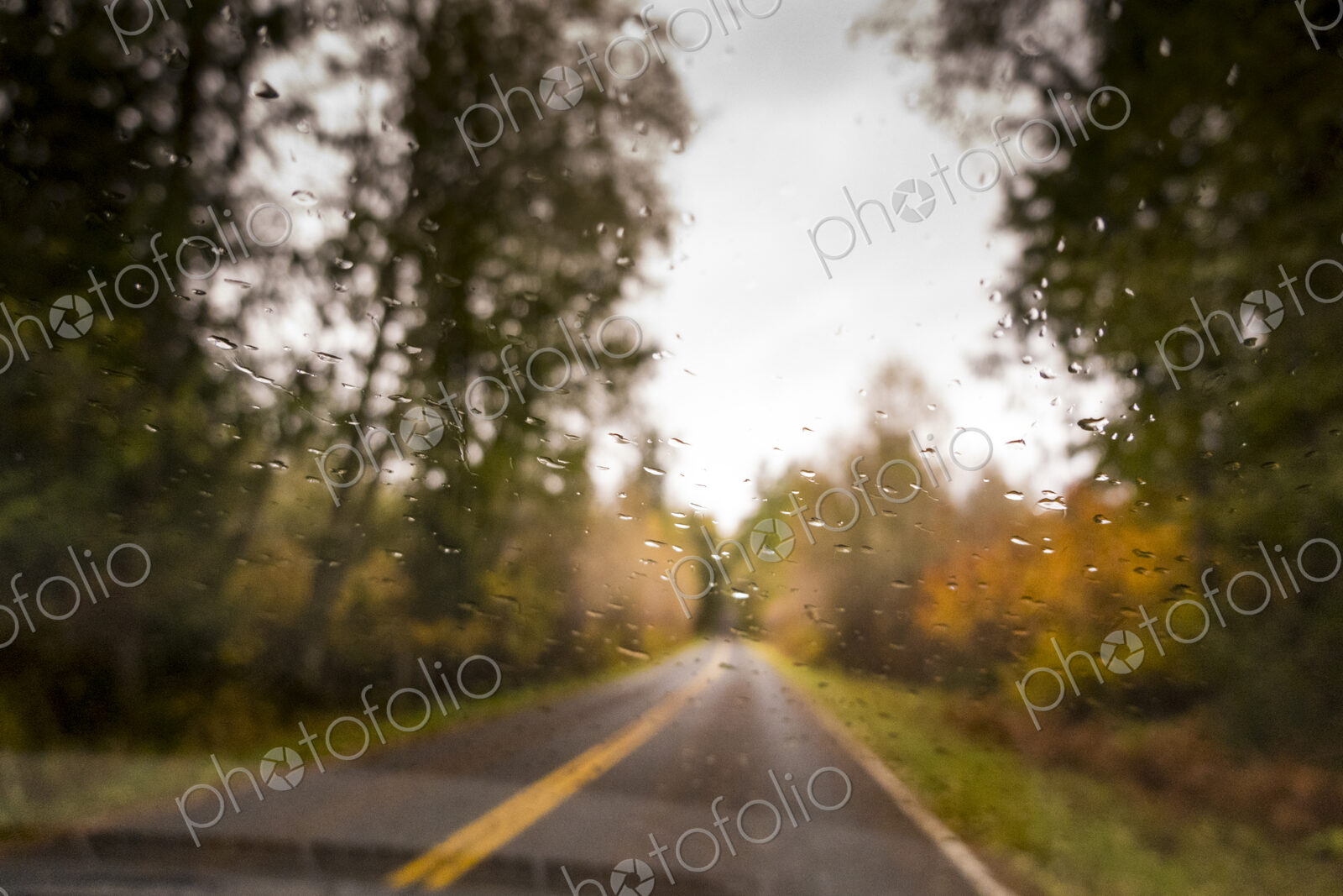 Rain drops on the windshield of a car.