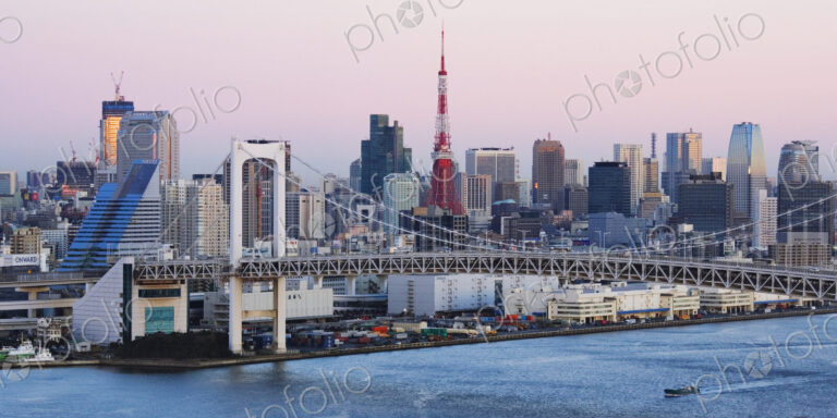 Rainbow Bridge and Tokyo Skyline