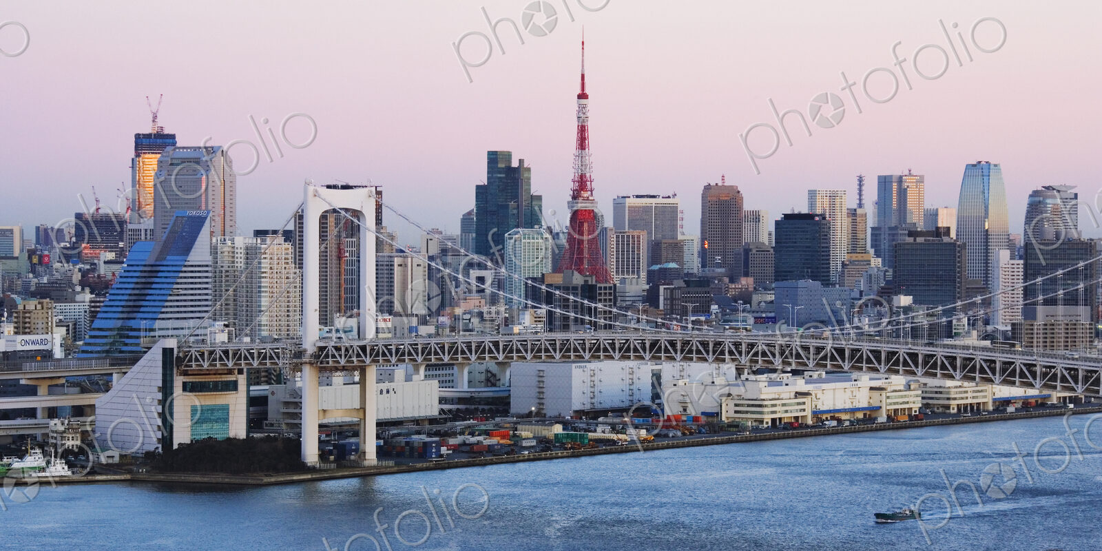 Rainbow Bridge and Tokyo Skyline