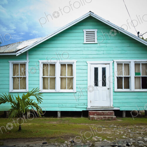 Raised Home in the Tropics Raised Home in the Tropics