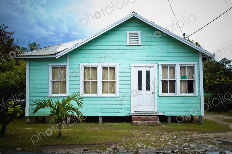 Raised Home in the Tropics