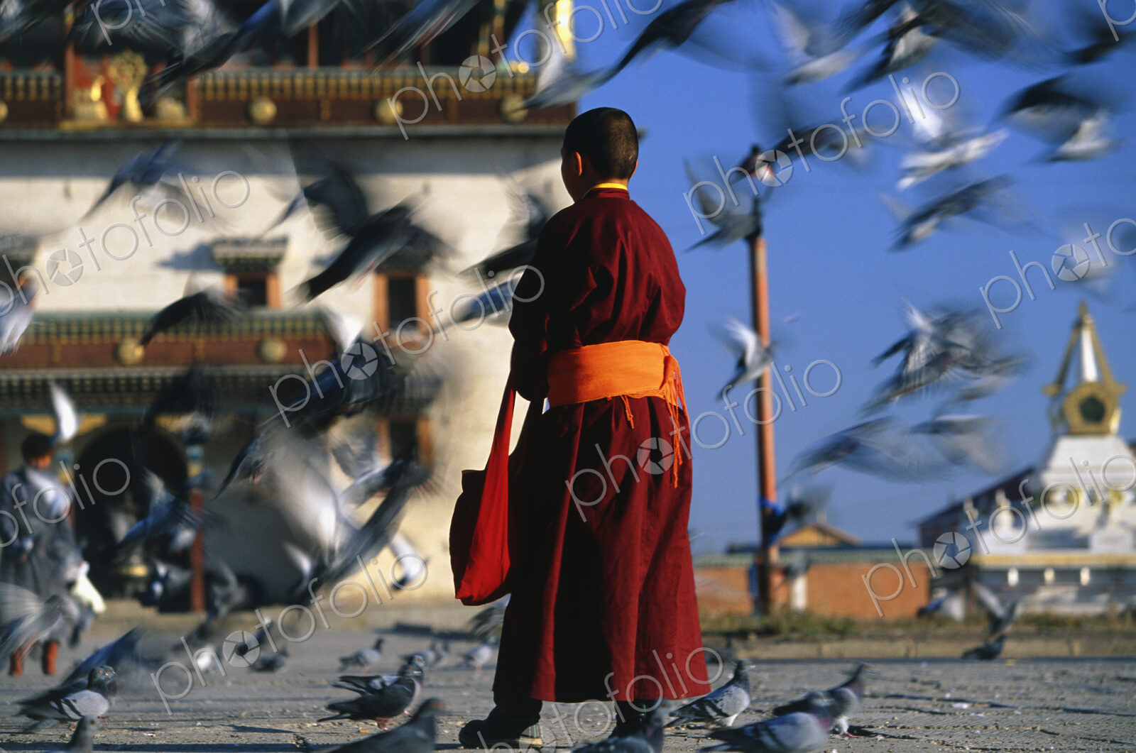 Rear view of Buddhist monk wearing red robe standing in a town square, feeding pigeons.