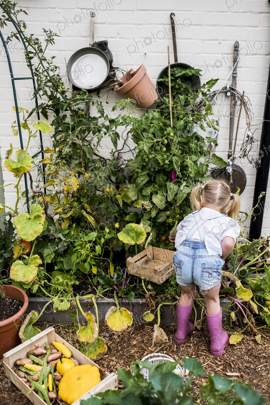 Rear view of blond girl standing in a garden, picking fresh vegetables.